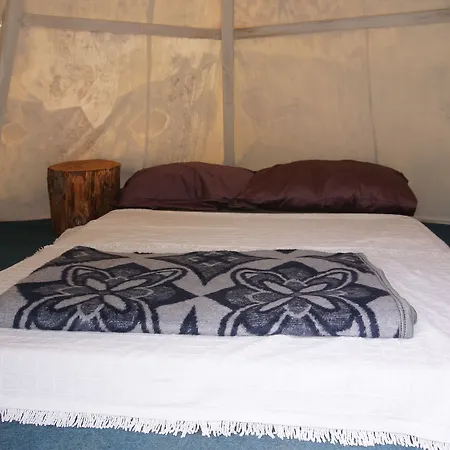 Shiva Camp Hotel 3*