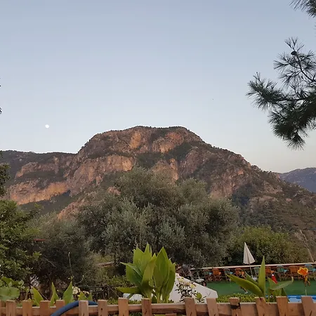 Shiva Camp Faralya