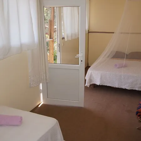 Shiva Camp Hotel