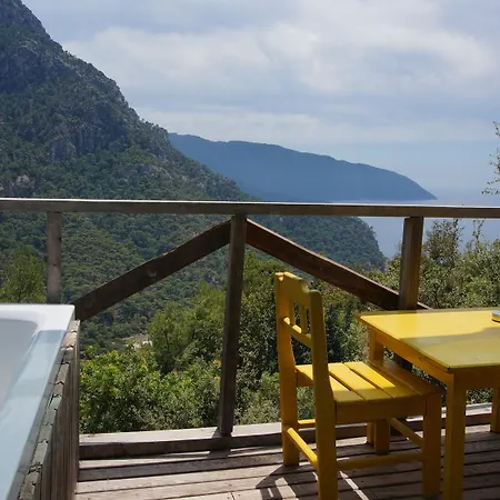 Hotel Shiva Camp 3*