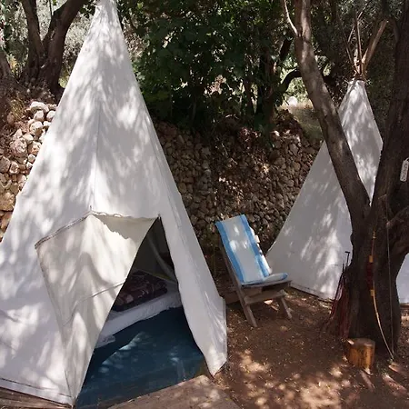 Shiva Camp