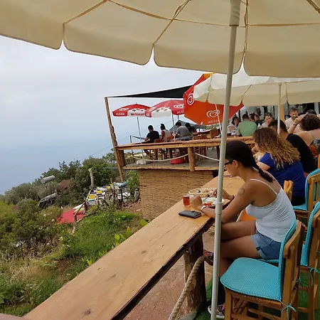 Hotel Shiva Camp 3*