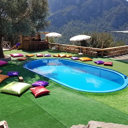 Shiva Camp 3*