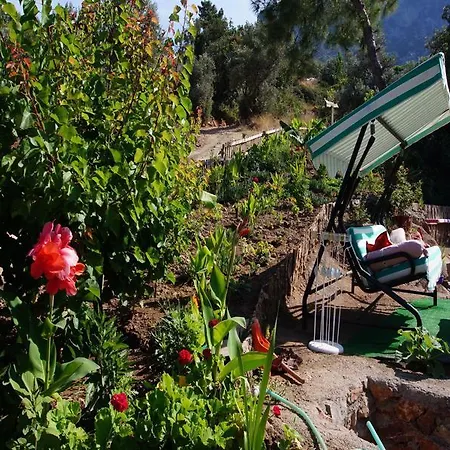 Hotel Shiva Camp Faralya