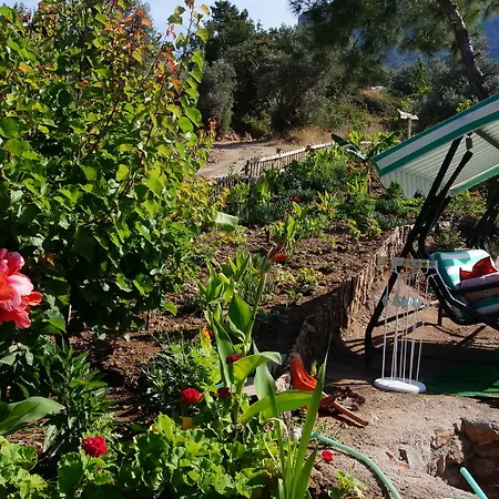 Hotel Shiva Camp 3*